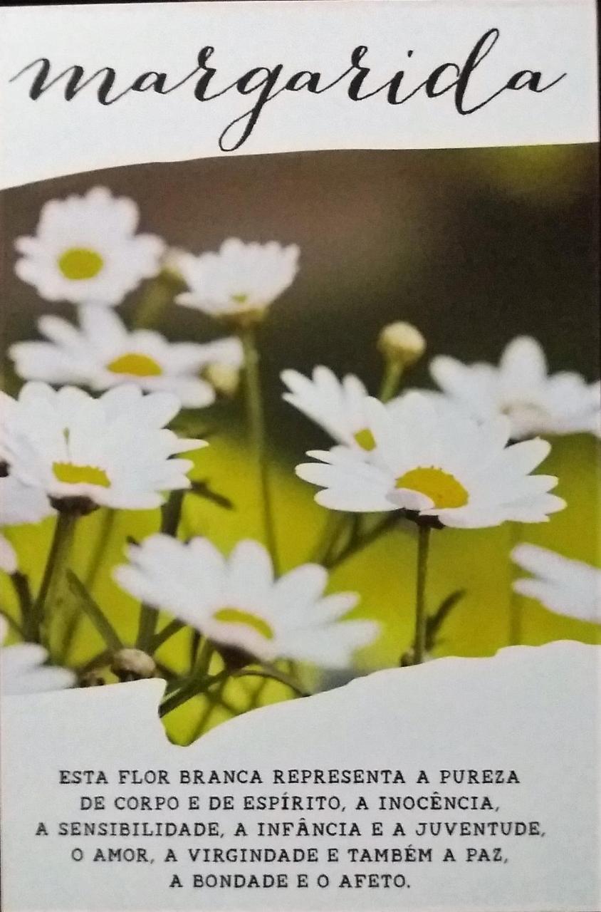 فندق Praia de Pipaفي  Recanto Das Flores المظهر الخارجي الصورة