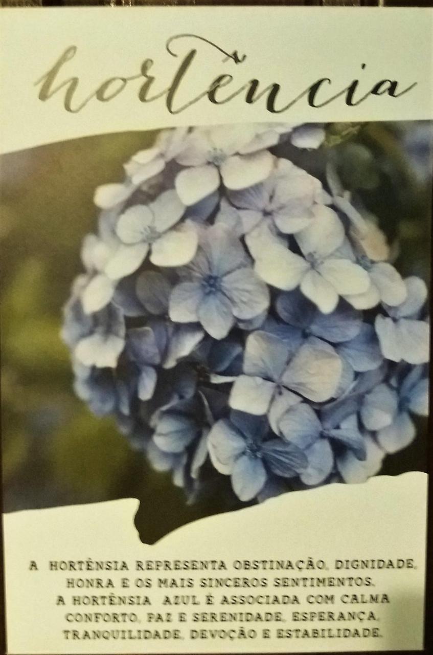 فندق Praia de Pipaفي  Recanto Das Flores المظهر الخارجي الصورة