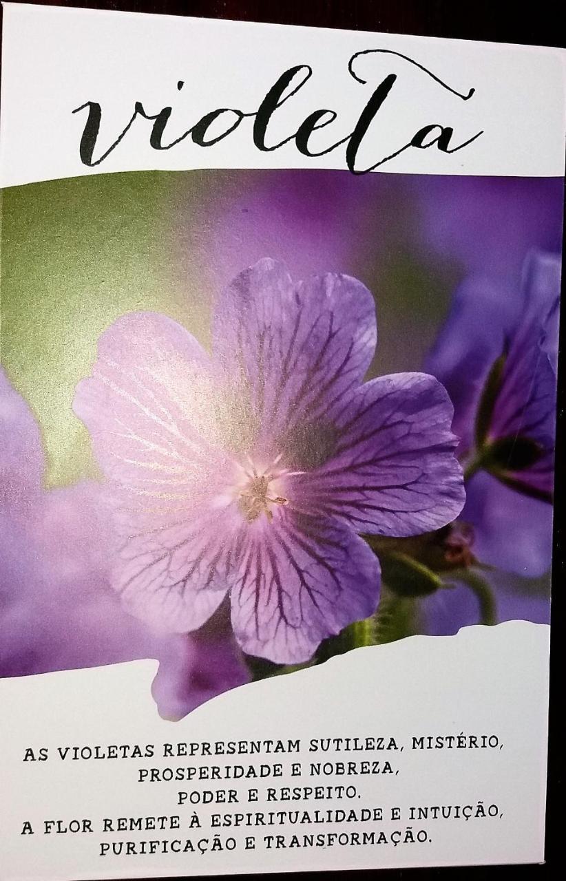 فندق Praia de Pipaفي  Recanto Das Flores المظهر الخارجي الصورة